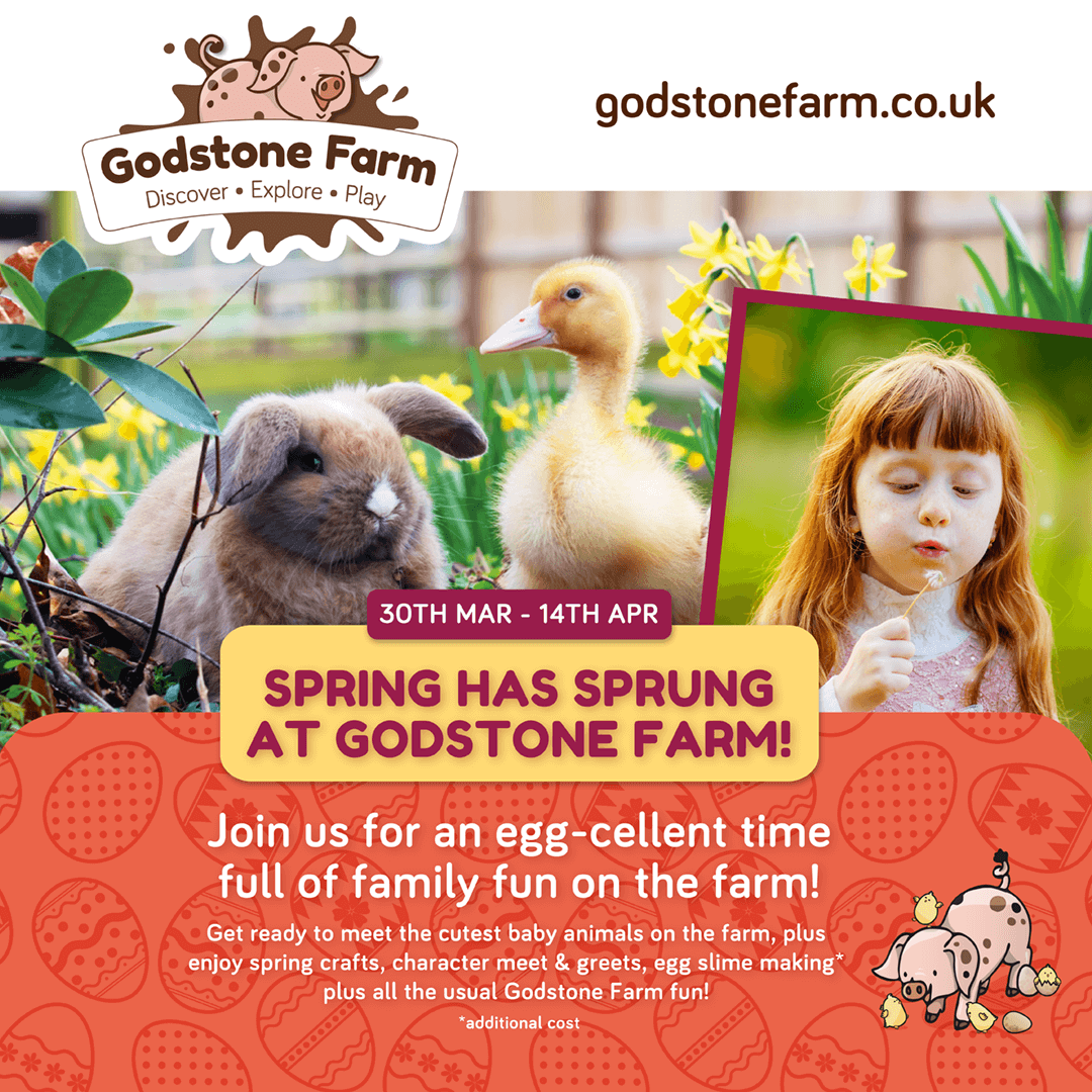 Spring has Sprung at Godstone Farm! Godstone Farm & Playbarn