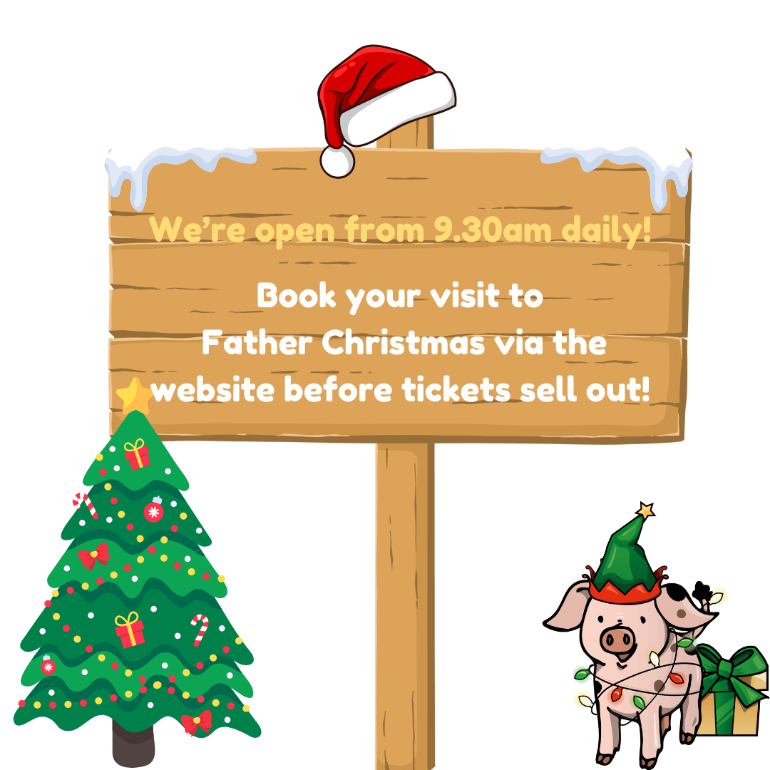 Book your visit to Father Christmas at Godstone Farm