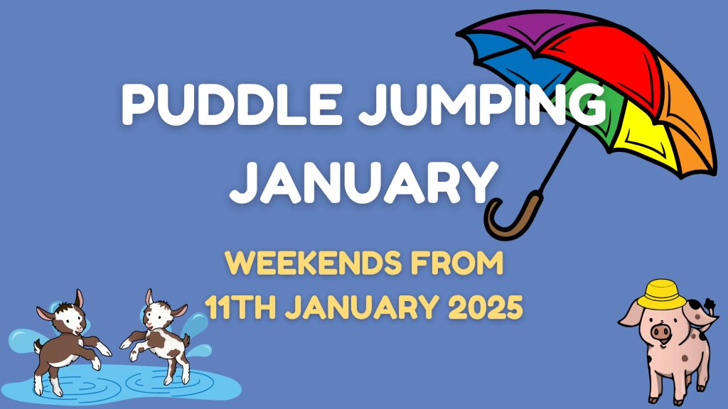 Puddle Jumping January