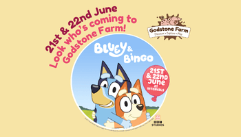Bluey and Bingo are coming