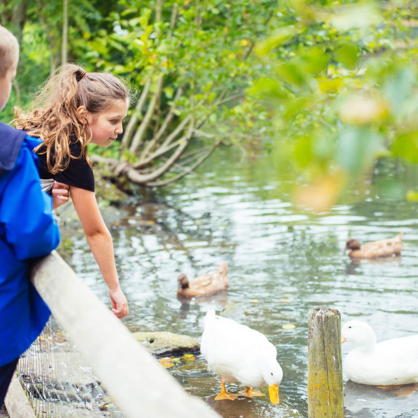 May half term at Godstone Farm May half term at Godstone Farm